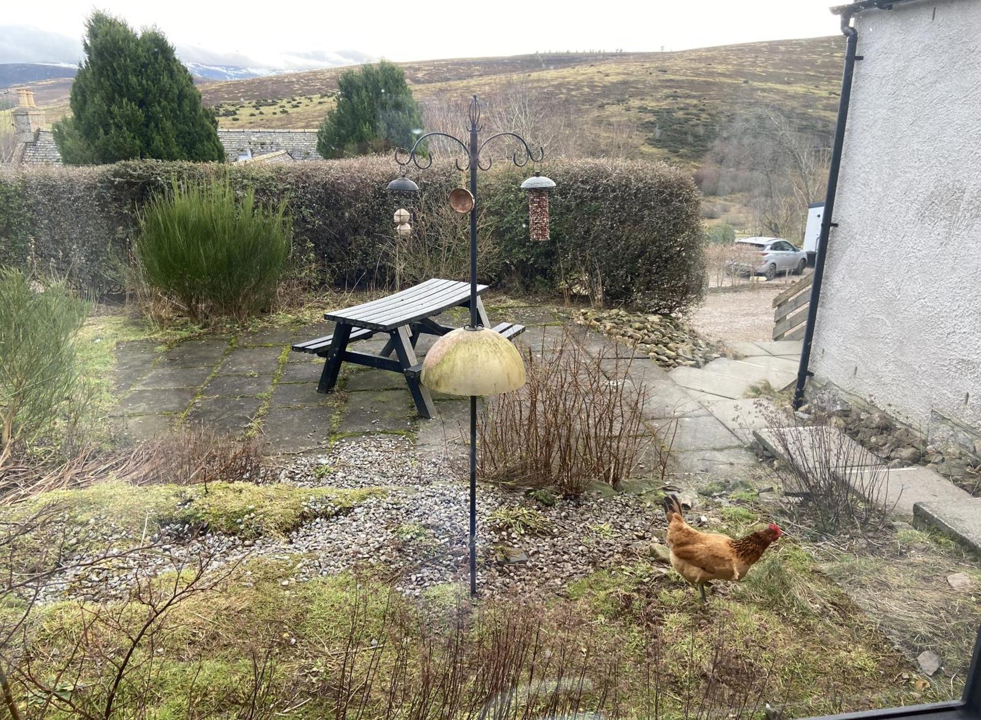 Easter Corrie Cottages Ballindalloch Экстерьер фото